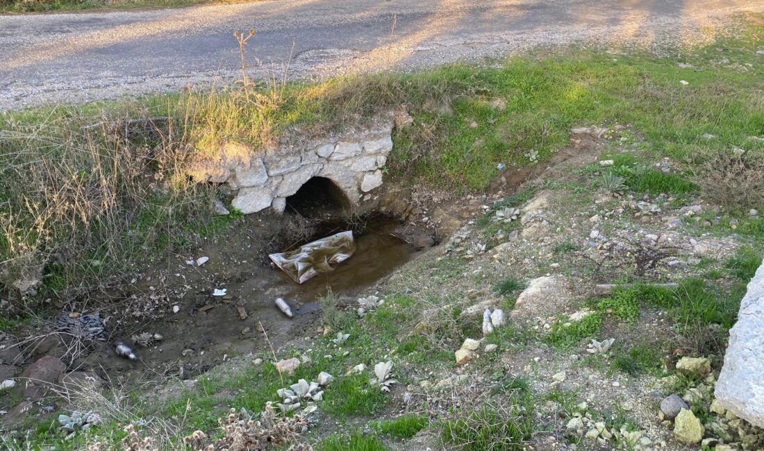 Olay, 2 Kasım’da Ayvacık’a bağlı Erecek köyü yakınlarında meydana geldi.
