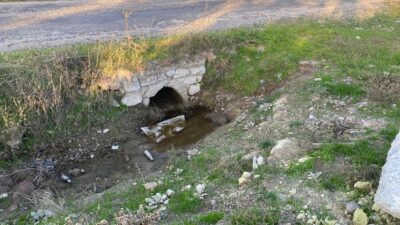Olay, 2 Kasım’da Ayvacık’a bağlı Erecek köyü yakınlarında meydana geldi.