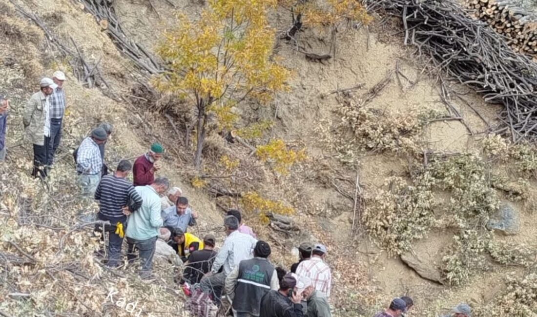 Olay, Gövdeli Mahallesi’nde meydana geldi. Kışlık yakacak odun toplamak için