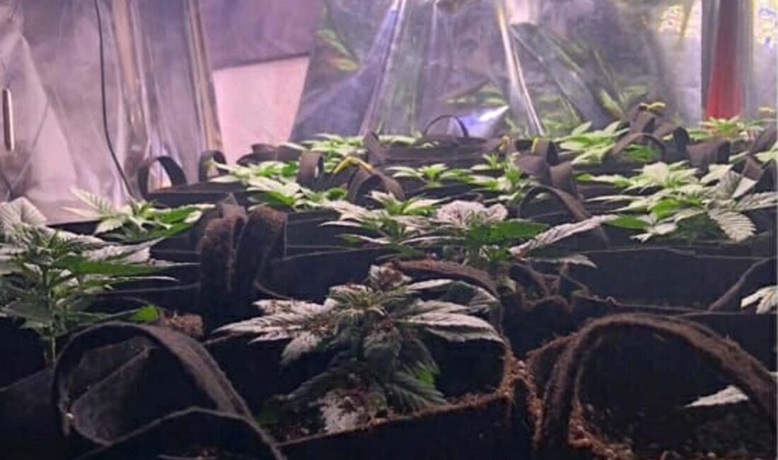 İzmir Emniyet Müdürlüğü’ne bağlı Narkotik Suçlarla Şube Müdürlüğü bünyesindeki Narko