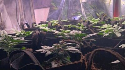 İzmir Emniyet Müdürlüğü’ne bağlı Narkotik Suçlarla Şube Müdürlüğü bünyesindeki Narko