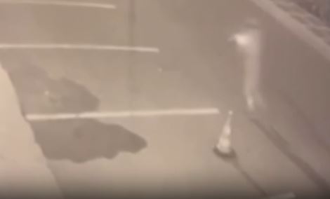 İstanbul Maltepe Yalı Mahallesi’nde 11 Kasım sabahı saat 04.30 sıralarında