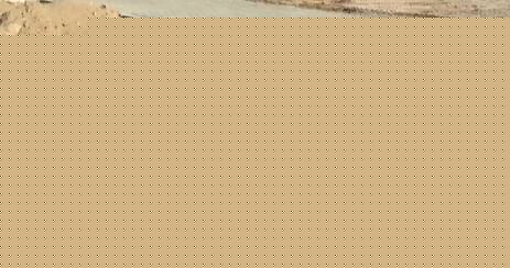 İstanbul Beşiktaş’ta yaşanan zehirlenme olayının ardından 2 çocuğu ile birlikte