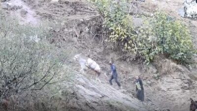 Çüngüş ilçesinin 150 haneli kırsal Atalar Mahallesi sakinleri, şehir ve