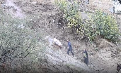 Çüngüş ilçesinin 150 haneli kırsal Atalar Mahallesi sakinleri, şehir ve