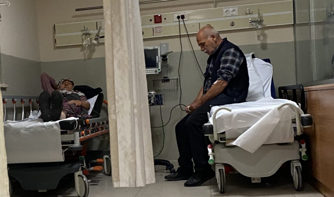 Bursa İnegöl ilçesinde Ferdi G. ve ağabeyi İlhan G.’nin topladığı