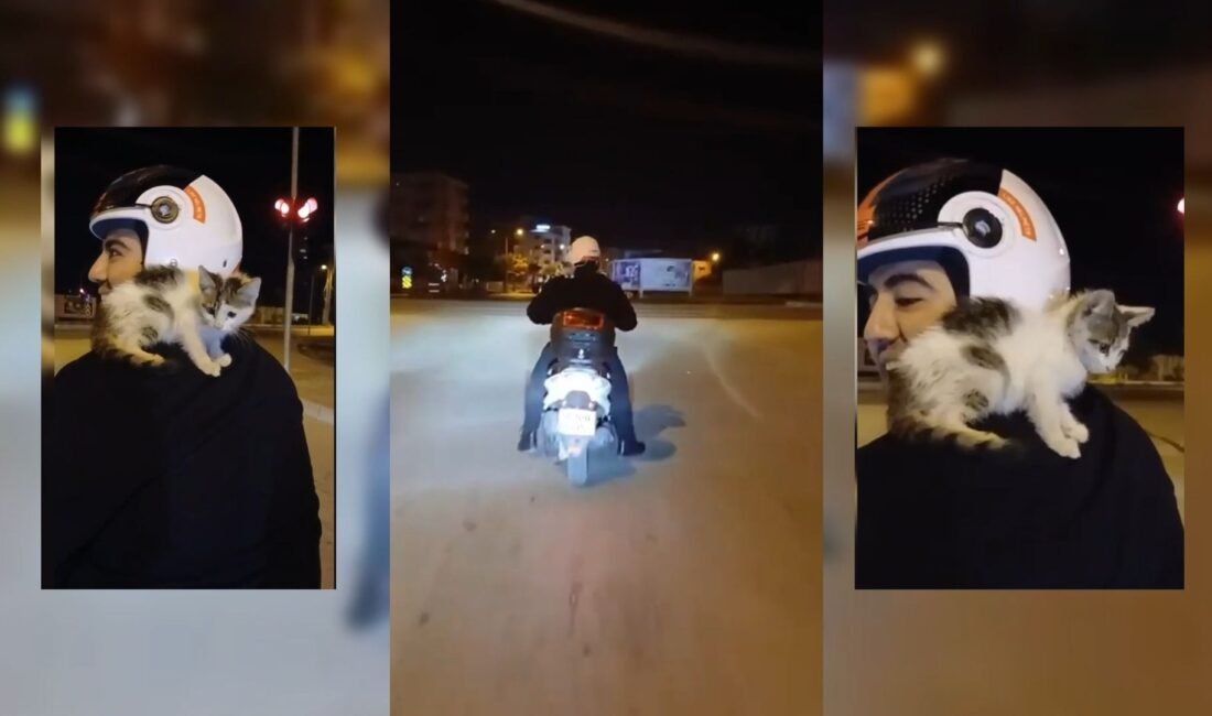 Osmaniye Fakıuşağı Mahallesi’nden kent merkezine ilerleyen motosiklet sürücüsü, yol kenarında