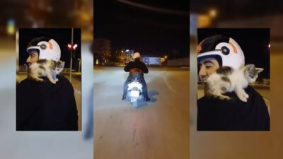 Osmaniye Fakıuşağı Mahallesi’nden kent merkezine ilerleyen motosiklet sürücüsü, yol kenarında