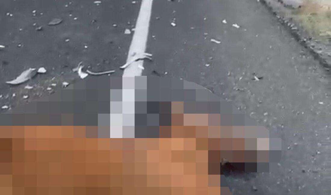 Nevşehir Karayolunda koşan başıboş iki ata, sürücüsü ve plakası öğrenilemeyen