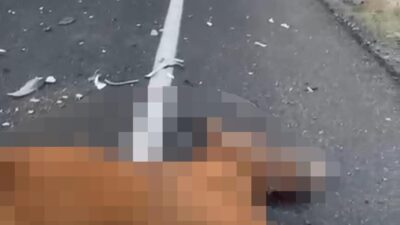 Nevşehir Karayolunda koşan başıboş iki ata, sürücüsü ve plakası öğrenilemeyen