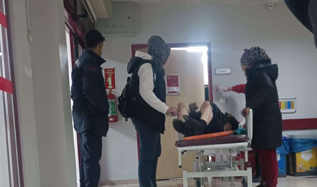 Ankara Nallıhan’da yalnız yaşayan 82 yaşındaki Ziya Çınar, mantar toplamak