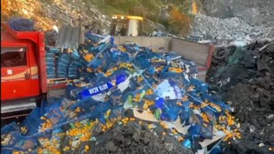 Tarım ve Orman Bakanlığı tarafından yapılan açıklamaya göre, Sarp Sınır