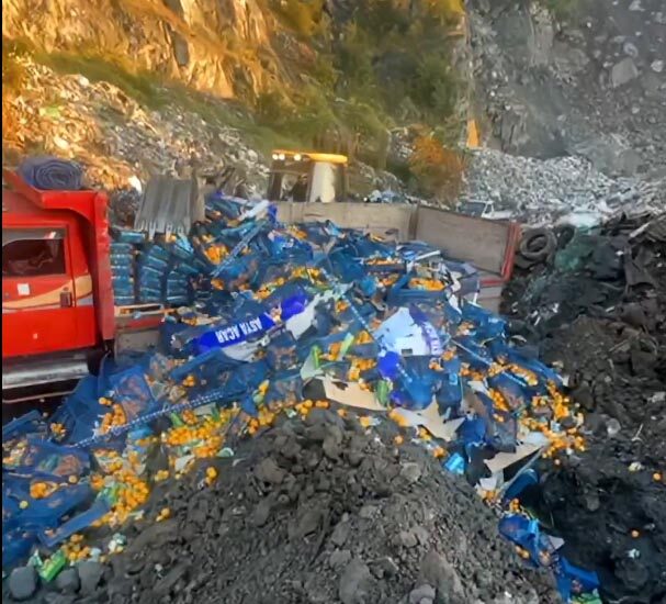 Tarım ve Orman Bakanlığı tarafından yapılan açıklamaya göre, Sarp Sınır