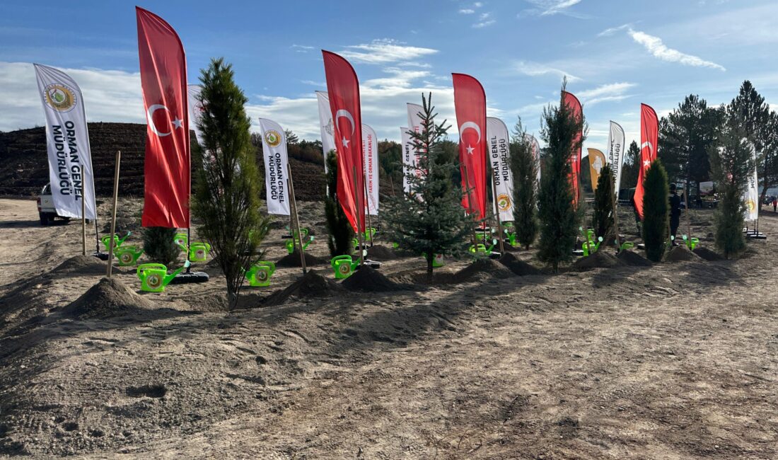 Ayrıca dikim törenine gelen şehit yakınları duygusal anlar yaşadı. Ayrıca