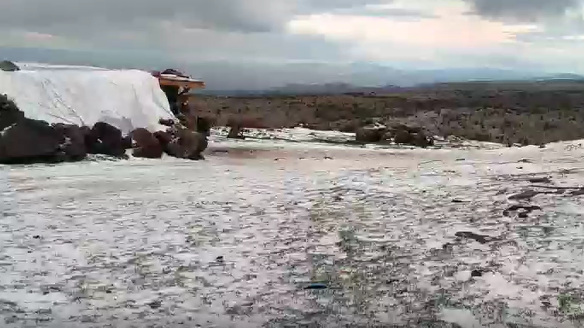 Vatandaşların sosyal medyada paylaştığı görüntüler büyük ilgi gördü. Yaklaşık 1300