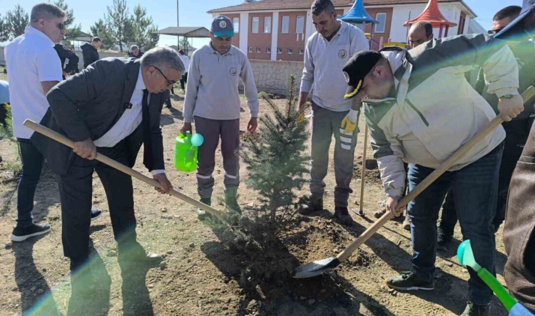 Afyonkarahisar’da, 11 Kasım Milli Ağaçlandırma Günü dolayısıyla düzenlenen fidan dikim