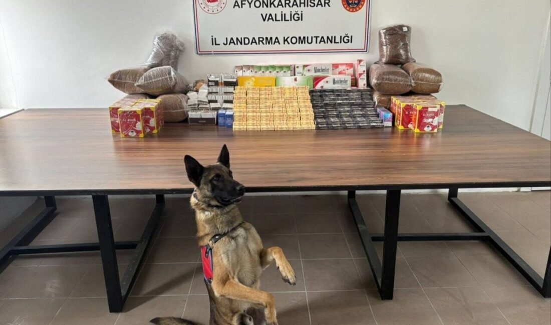 AFYONKARAHİSAR (AA) – Afyonkarahisar'ın Bolvadin ilçesinde düzenlenen kaçakçılık operasyonunda yakalanan