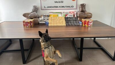 AFYONKARAHİSAR (AA) – Afyonkarahisar'ın Bolvadin ilçesinde düzenlenen kaçakçılık operasyonunda yakalanan