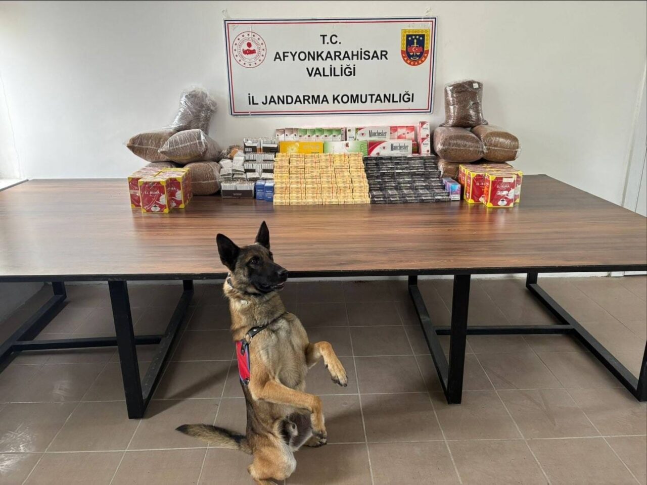 AFYONKARAHİSAR (AA) – Afyonkarahisar'ın Bolvadin ilçesinde düzenlenen kaçakçılık operasyonunda yakalanan