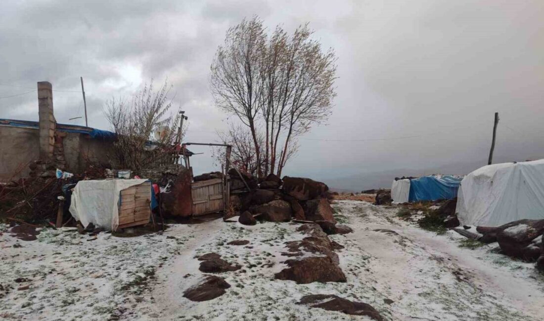 Afyonkarahisar’ın Şuhut ilçesine bağlı Akyuva köyü Eseli Yaylası mevsimin ilk