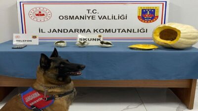 Osmaniye İl Jandarma Komutanlığı ekipleri, uyuşturucu ile mücadele kapsamında Bahçe