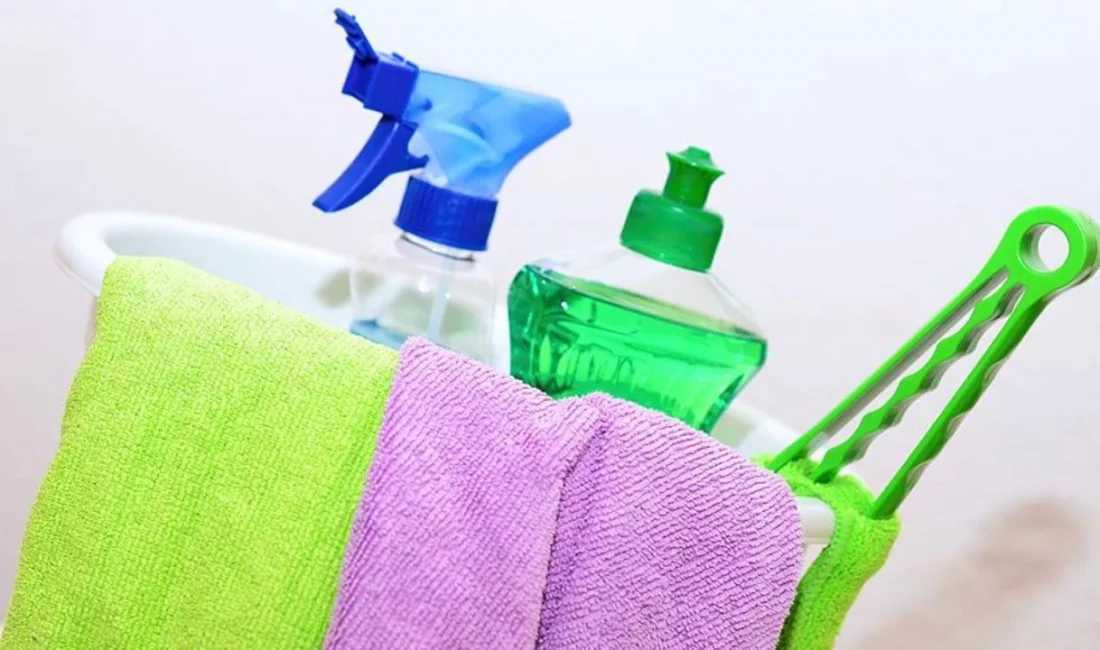 Norveç’in Bergen Üniversitesinde yapılan araştırma, evde düzenli olarak temizlik yapan