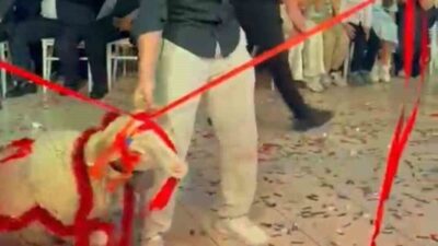 Afyonkarahisar’ın Şuhut ilçesinde küçükbaş hayvancılıkla uğraşan Hasan Ali Karanlık ile