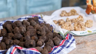 Hırvatistan’ın kuzeybatısındaki İstriya bölgesinde eylül-aralık ayları arasında beyaz trüf mevsimi