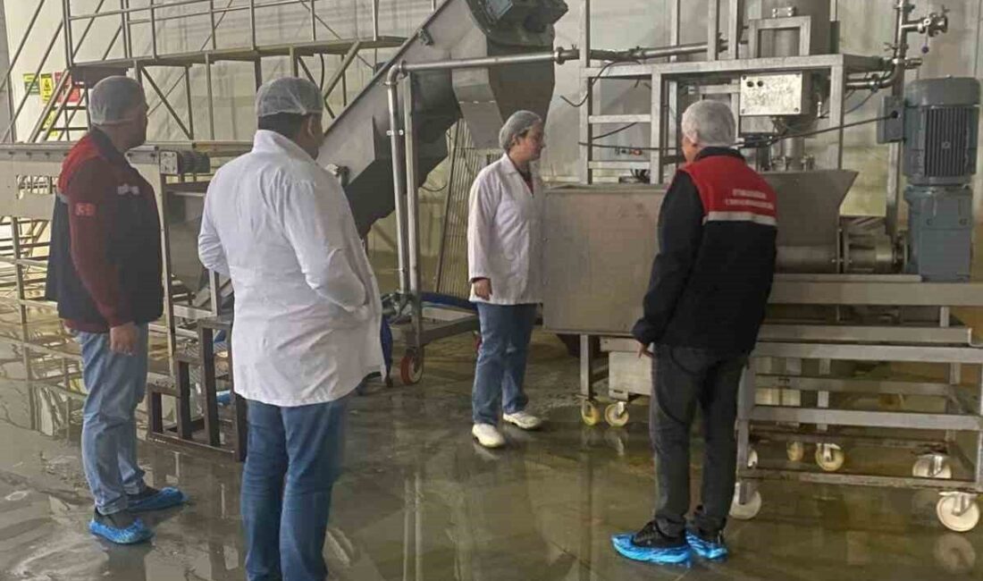 Afyonkarahisar’da hayvansal yem üreten bir işletmeye yönelik denetim yapıldı. Denetimin