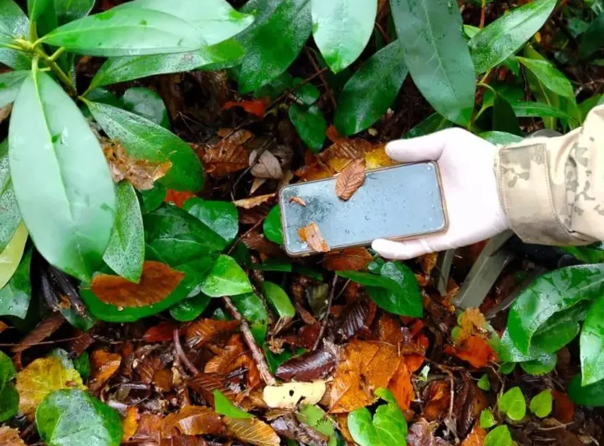 Kastamonu İl Jandarma Komutanlığı ekipleri, Huriye Helvacı’ya ait kayıp cep