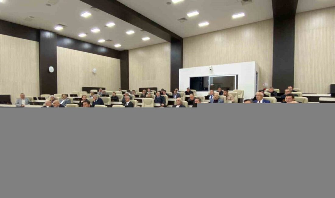 Afyonkarahisar İl Genel Meclisi (İGM) Sandıklı AK Parti Üyesi Ahmet