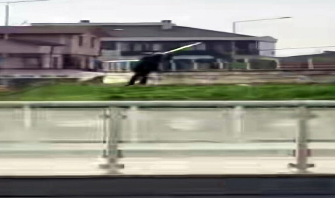 Olay, bir ilin Serdivan ilçesine bağlı Yazlık Mahallesi’nde meydana geldi.