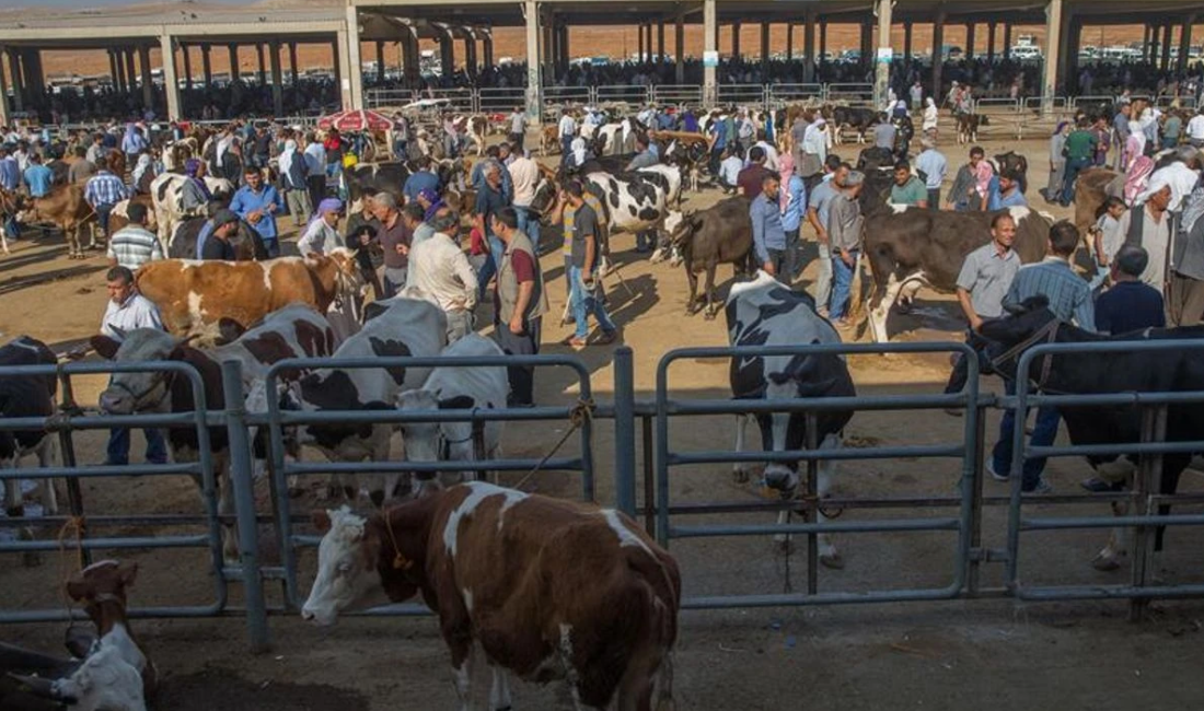 Şuhut Kaymakamlığından alınan bilgide, Pazar alanında gerekli hazırlıkların tamamlandığı, vatandaşların