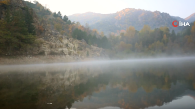 Kent merkezine bağlı Erkmen beldesindeki ormanlık alan arasında bulunan gölet