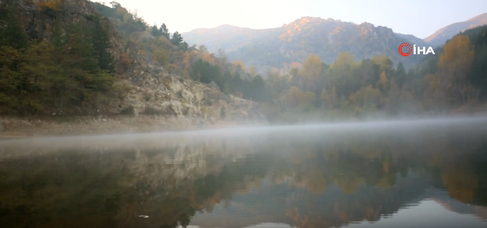 Kent merkezine bağlı Erkmen beldesindeki ormanlık alan arasında bulunan gölet