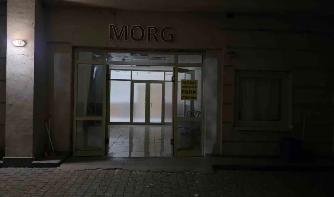 Şanlıurfa Siverek ilçesine bağlı kırsal Sarıkaya (Sahrik) Mahallesi’nde akşam saatlerinde