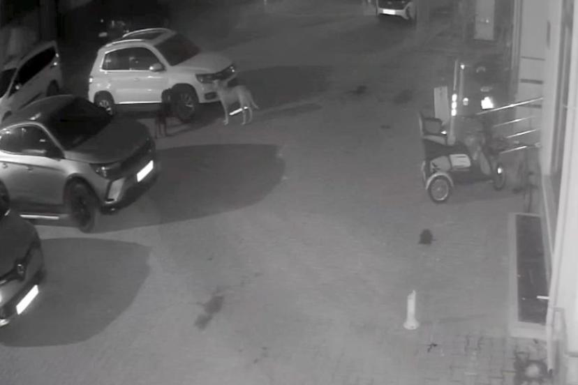 Cide ilçesi Kasaba Mahallesi Otobüs Terminali mevkiinde meydana gelen olayda,