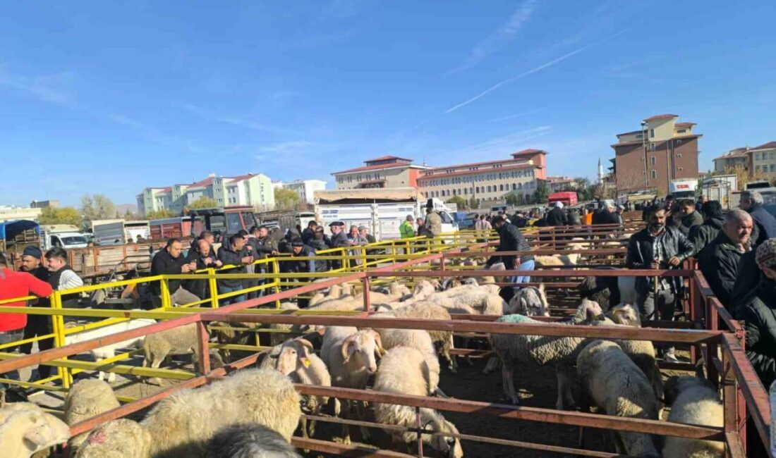 Afyonkarahisar’ın Şuhut ilçesinde küçükbaş hayvanlarda görülen hastalıklar nedeniyle kapatılan canlı