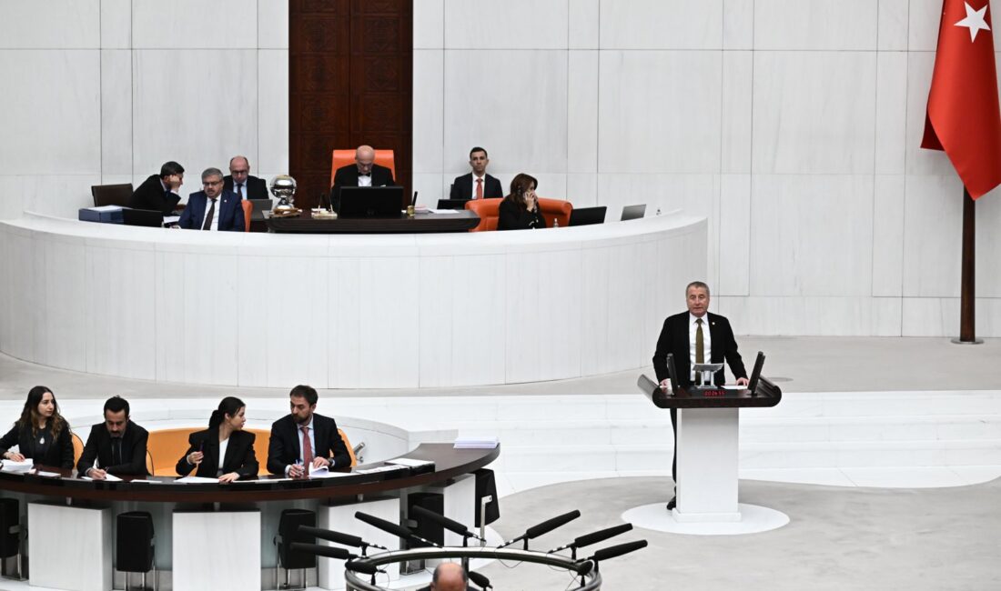 Milletvekili Hakan Şeref Olgun, Türkiye Büyük Millet Meclisi’nde (TBMM) konuştu.