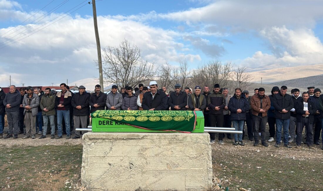 Olay, Bolvadin ilçesine bağlı Derekarabağ köyünde meydana geldi. Edinilen bilgilere