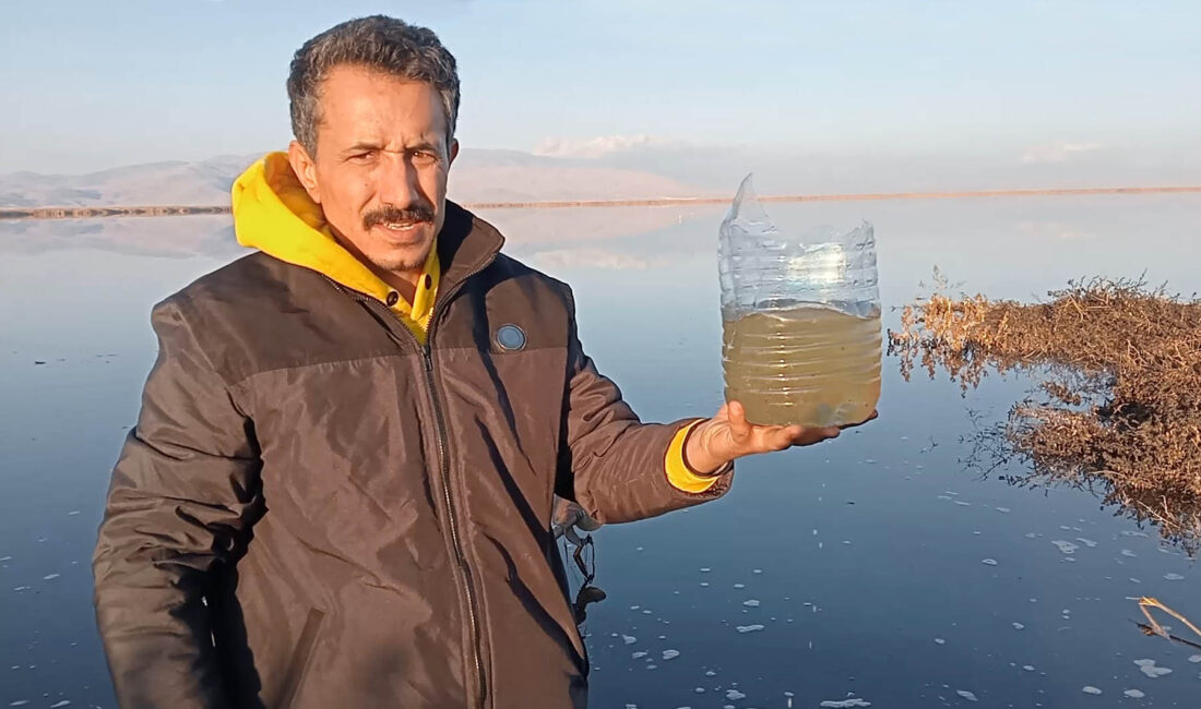 Çay, Bolvadin ve Sultandağı ilçe sınırları içerisinde bulunan Eber Gölü’nde