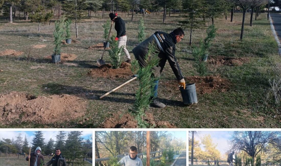 Bolvadin Belediyesi, çevreye duyarlı ve sürdürülebilir şehircilik anlayışı doğrultusunda ağaçlandırma