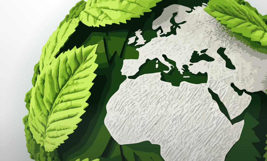 Elektrik dağıtım sektöründe sürdürülebilirlik raporu yayımlayan ilk şirket olan Osmangazi