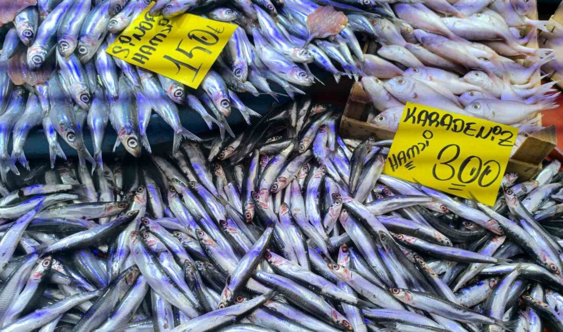 Afyonkarahisar’ın Şuhut ilçesindeki kapalı pazar yerinde bulunan balık tezgahlarında, havaların