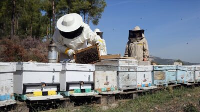 Demir, merkez birliği olarak 81 ildeki 72 bin 325 üye
