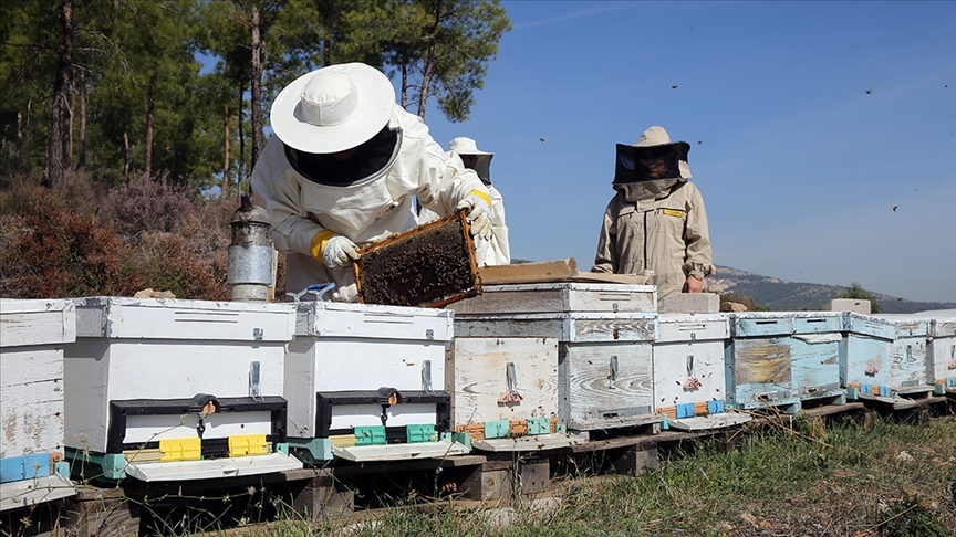 Demir, merkez birliği olarak 81 ildeki 72 bin 325 üye