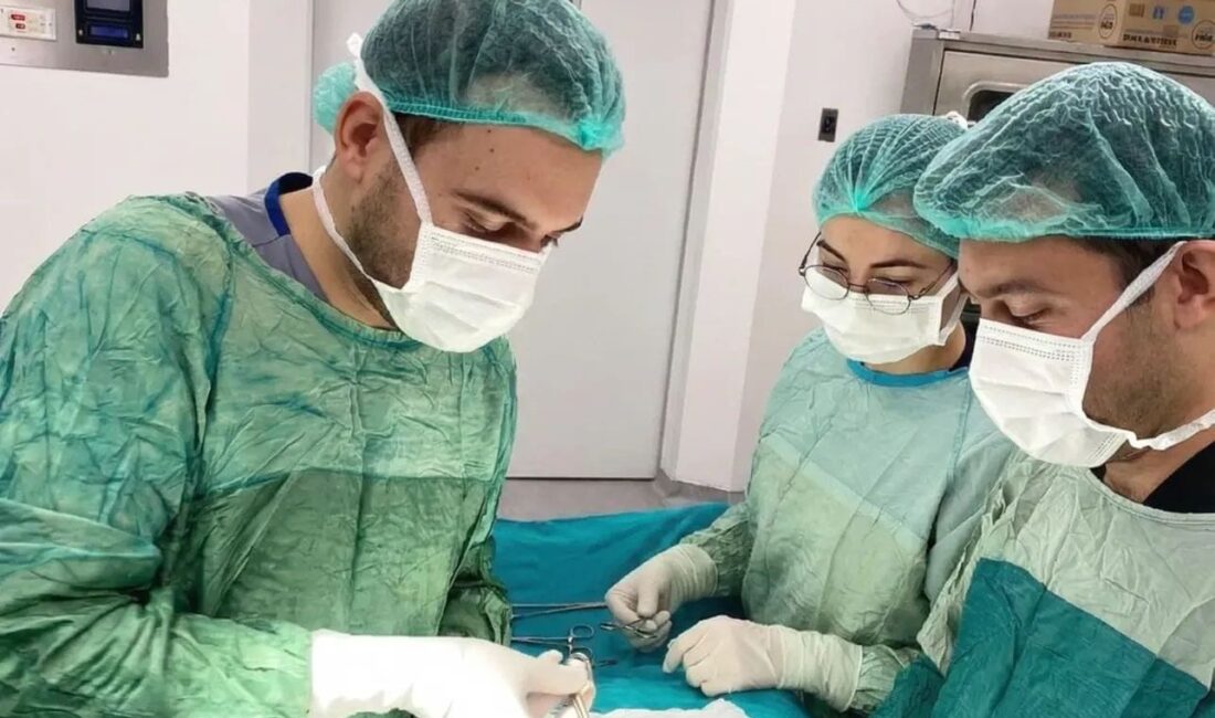 Ameliyat öncesi hastanın preoperatif değerlendirmesi, Anestezi Uzmanı Uzm. Dr. Seray