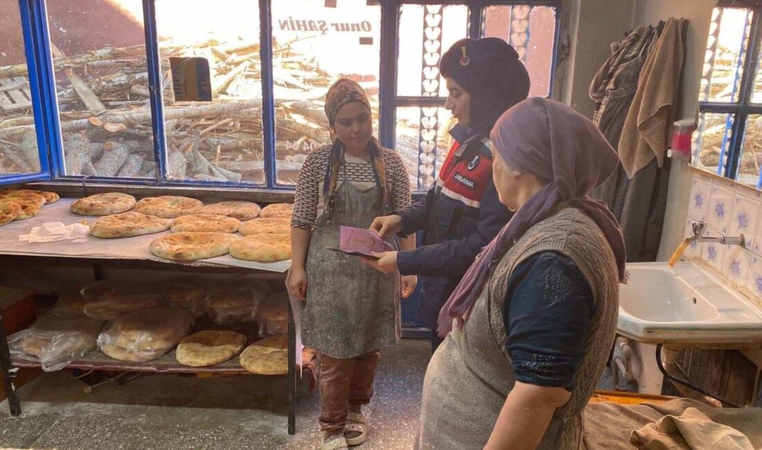 Ekipler, ilçede bulunan 124 vatandaşı, “Kadına El Kal-ka-maz” mottosu ve