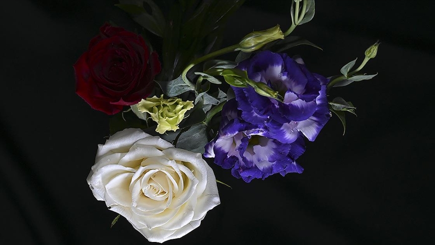 Çiçek sektöründe, aralık ayının başından itibaren yılbaşı hareketliliği yaşanıyor. Seralardan