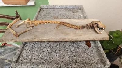 Yusufeli’nin Alanbaşı köyünde yaşayan eski muhtar Yavuz Turan, ahırındaki malzemelerin